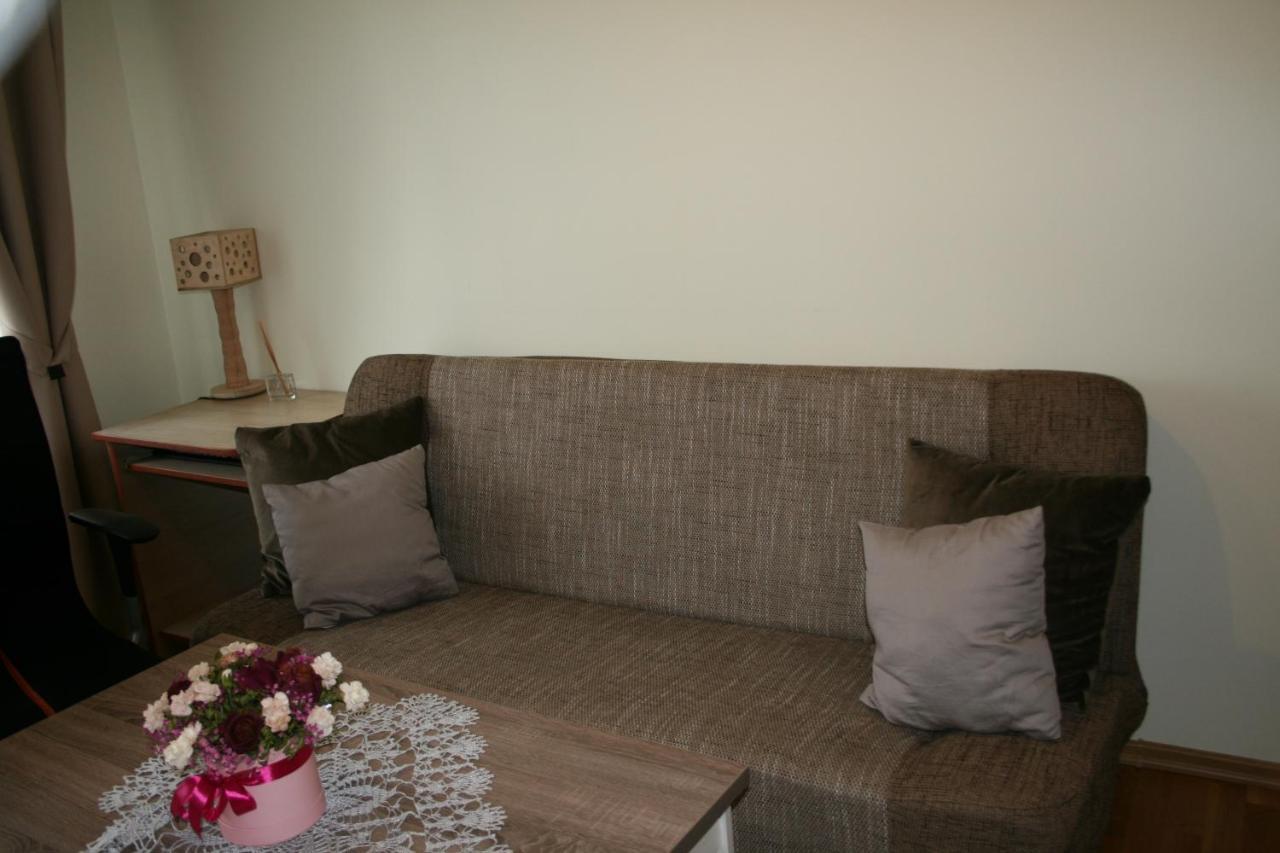Cosy One Room Apartment Vilnius Dış mekan fotoğraf